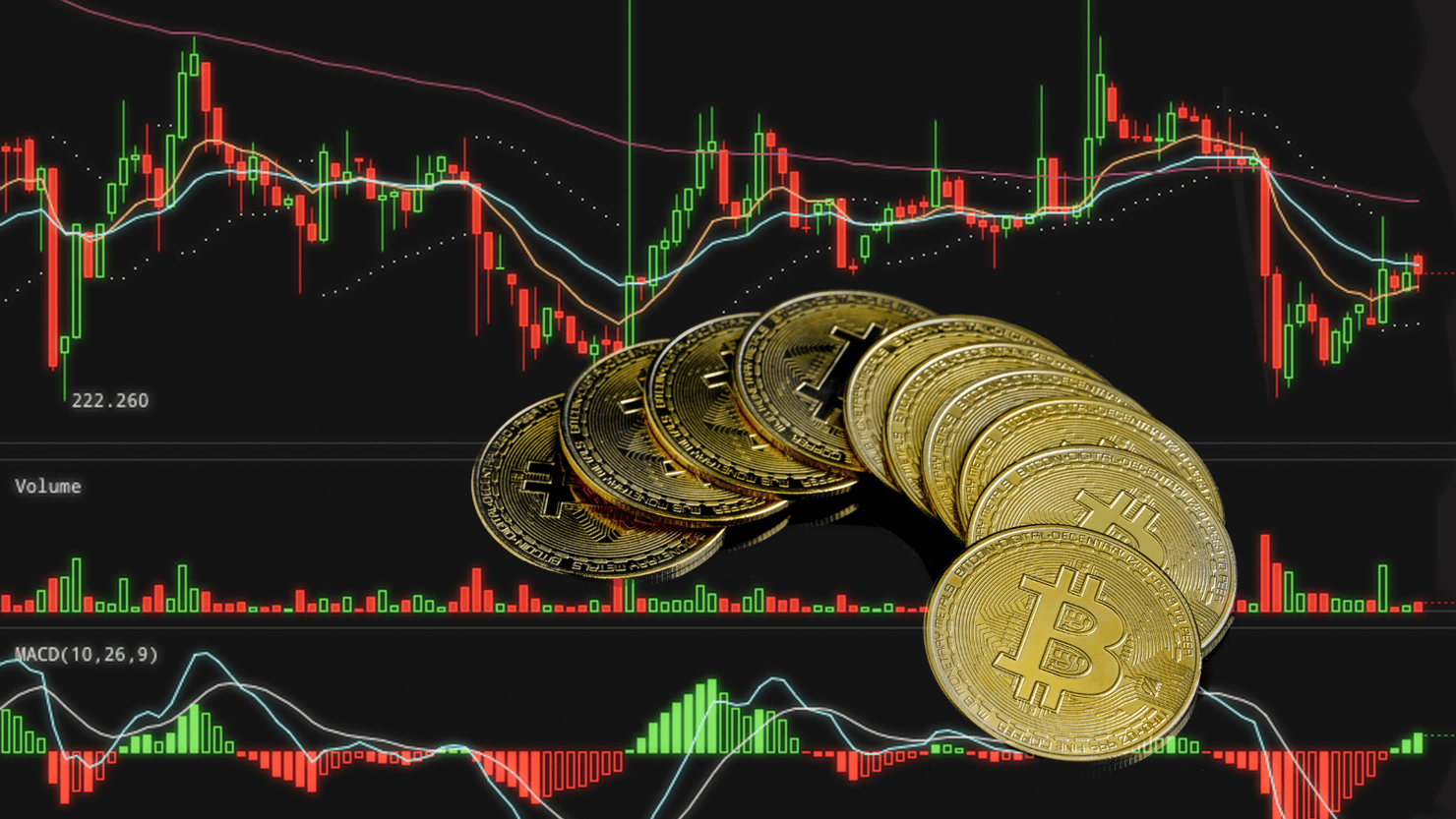 Bitcoins with Exchange Rate Graph.