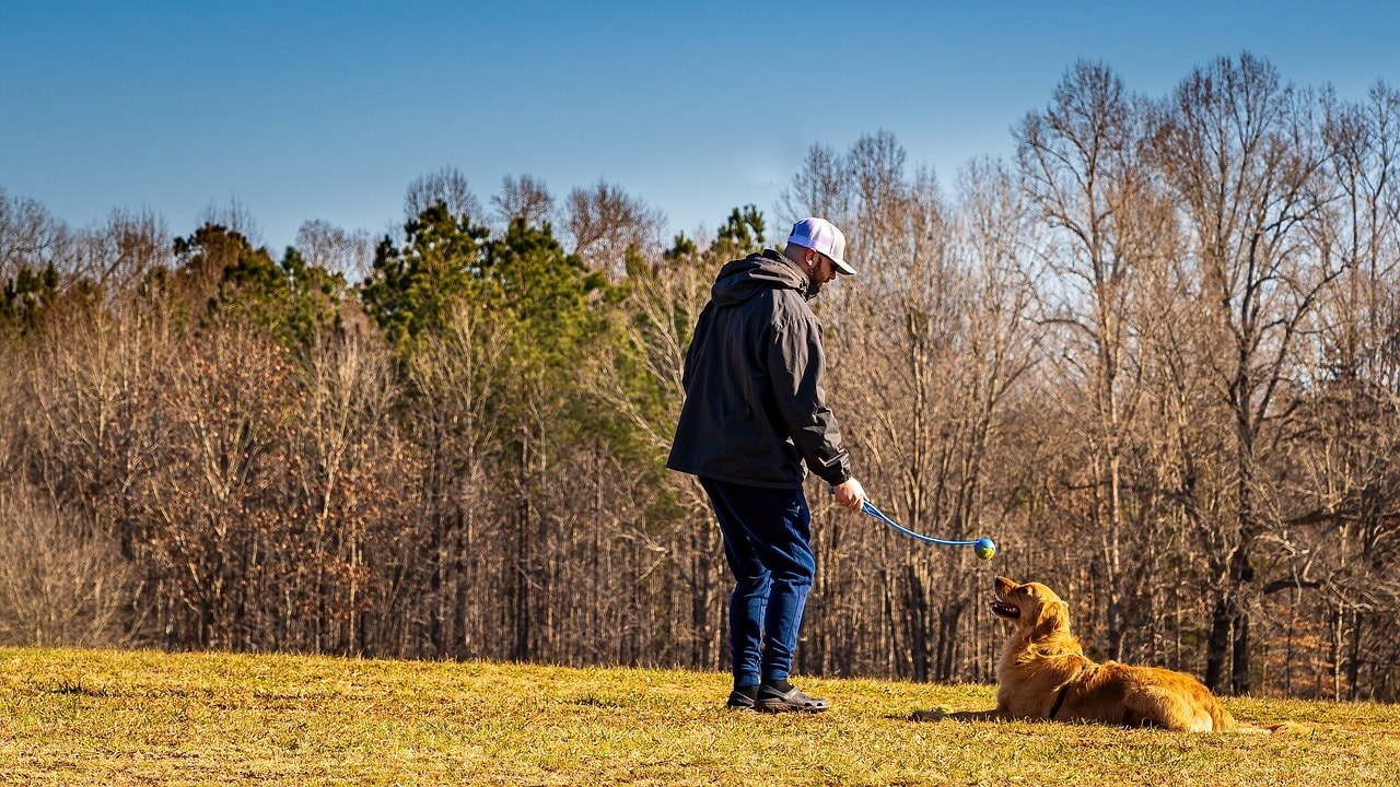 A dog owner playing with a dog.