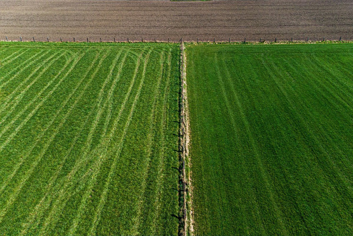 Drone shot of agricultural field.