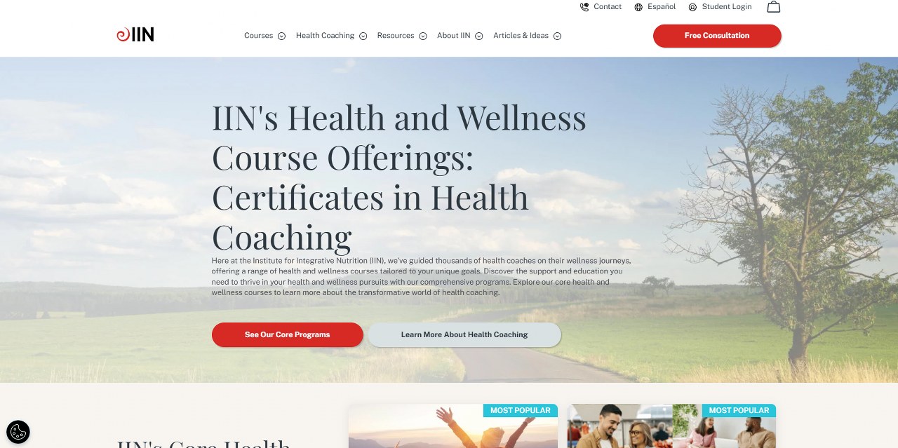 IIN's website.