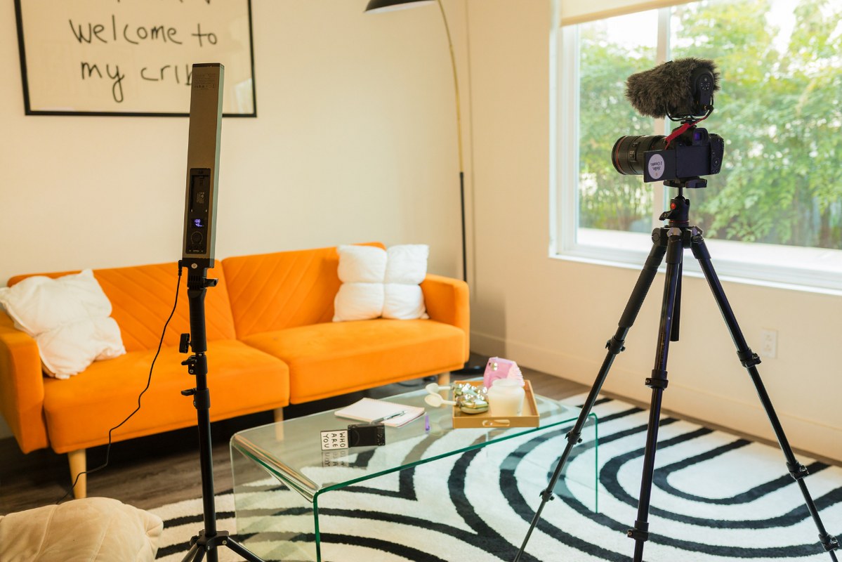 Living Room with Camera and Lights for course Creation.