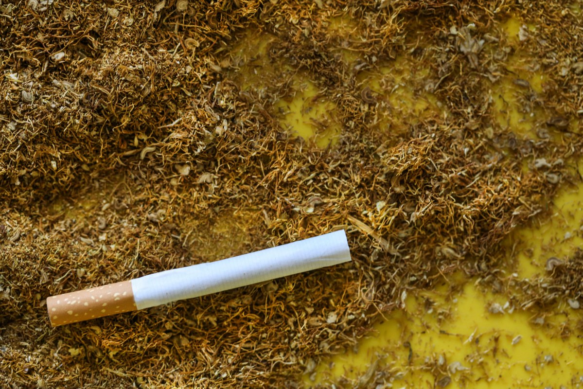 Pieces of cut tobacco and a cigarette.
