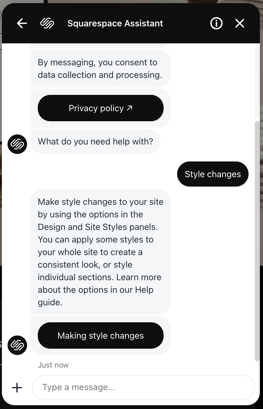 Squarespace Assistant