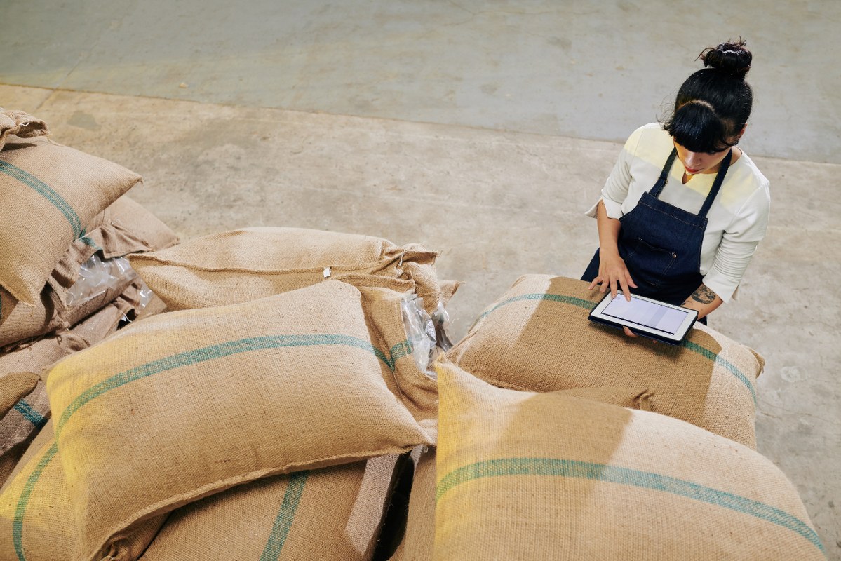 Supplier checking stock of coffee sacks.