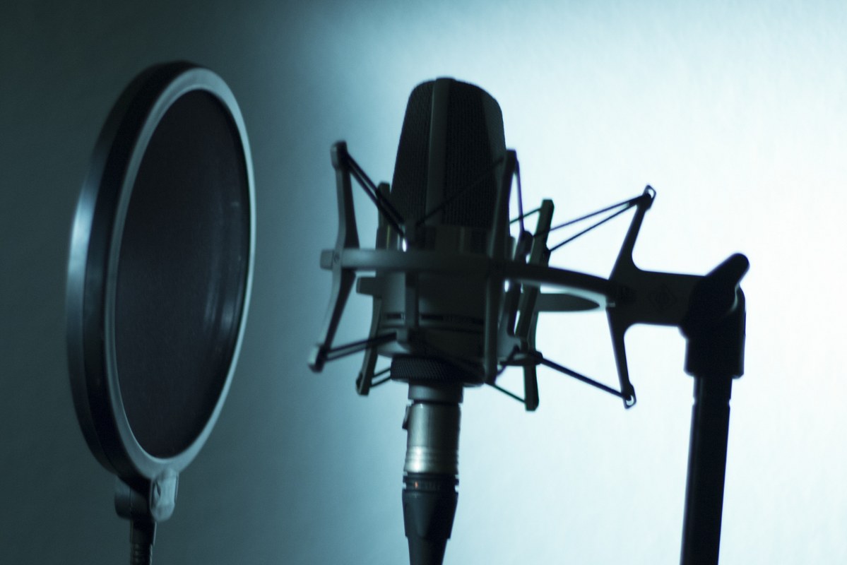 Voice Microphone.