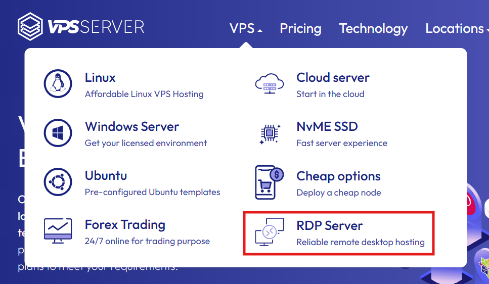 VPSserver RDP Server options