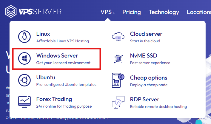 صفحة هبوط رمز كوبون VPSserver لنظام Windows VPS