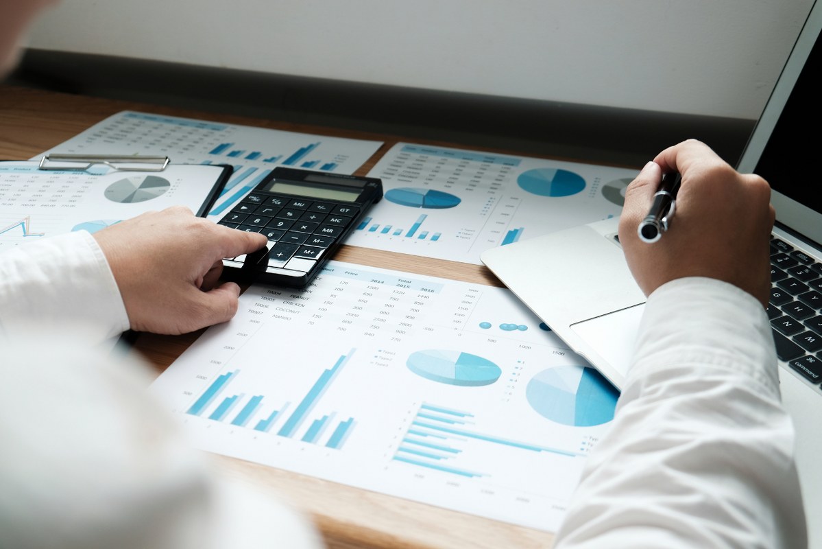 Auditor or internal revenue service staff.