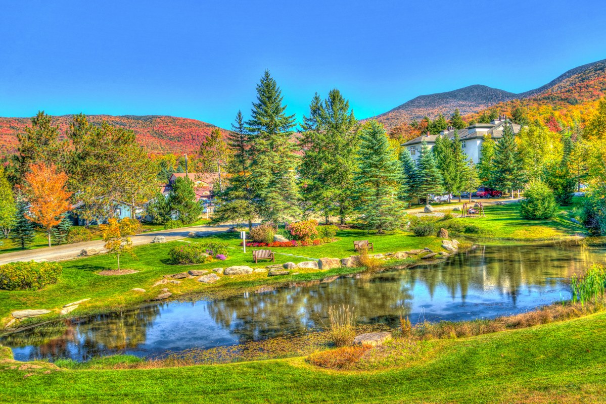 Beautiful eco-friendlt landscaping with small lake.