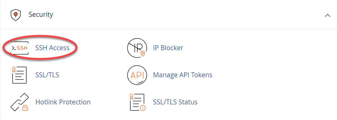 SSH Access button