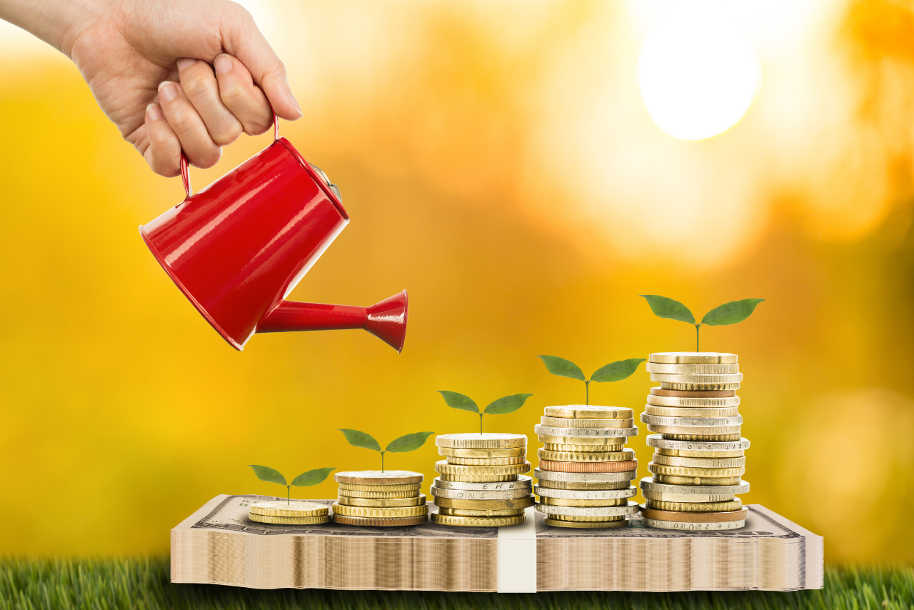Can pouring with growing money plant.
