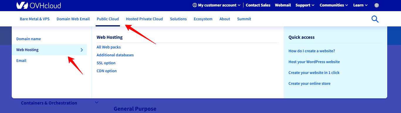Web Hosting button