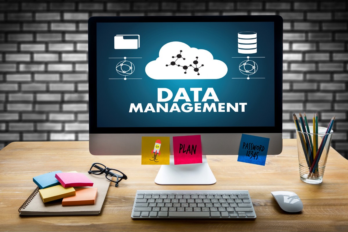 Data Management in the Cloud - technology concept.