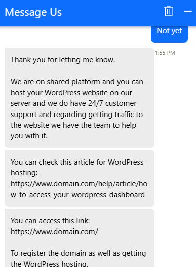 Domain.com Livechat conversation