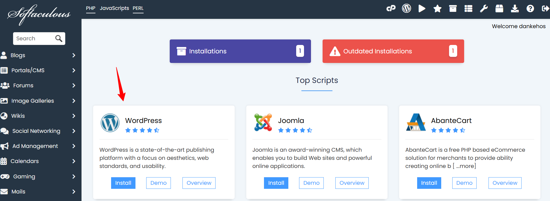WordPress Installer