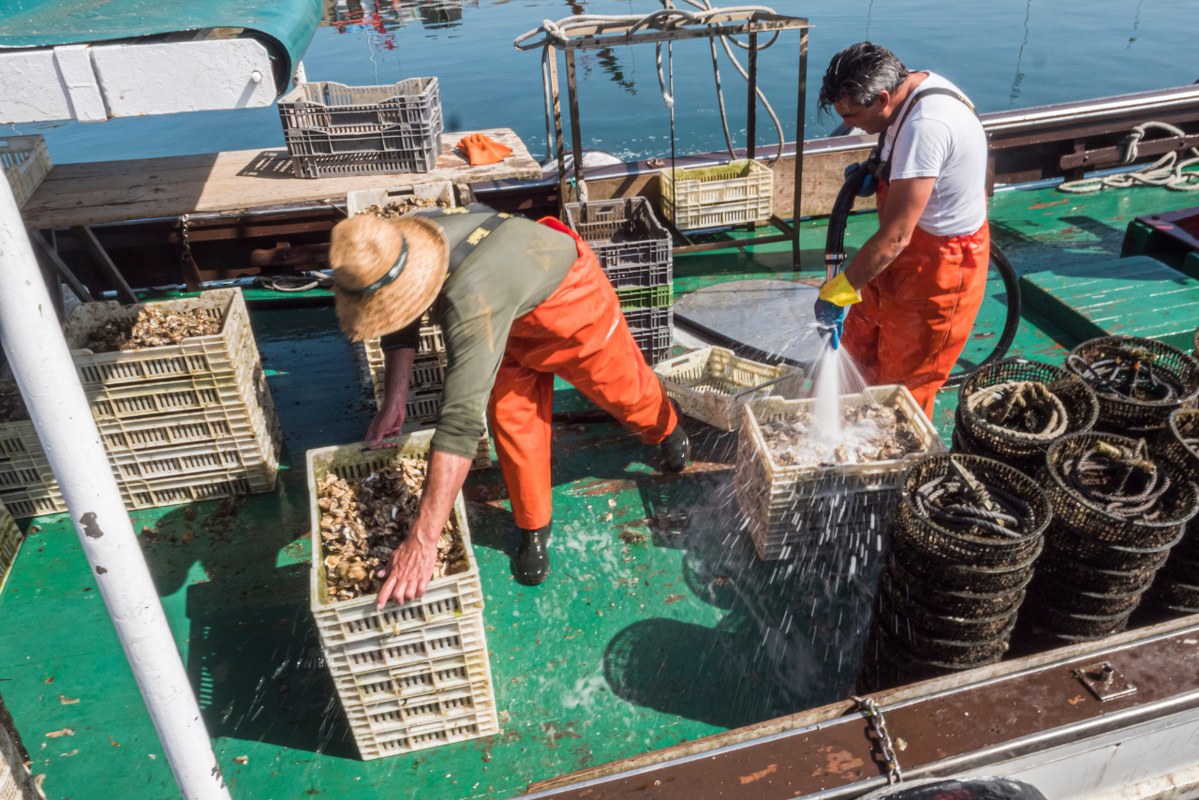 Fishermen Cleaning Seafood in the Fishing Port_1