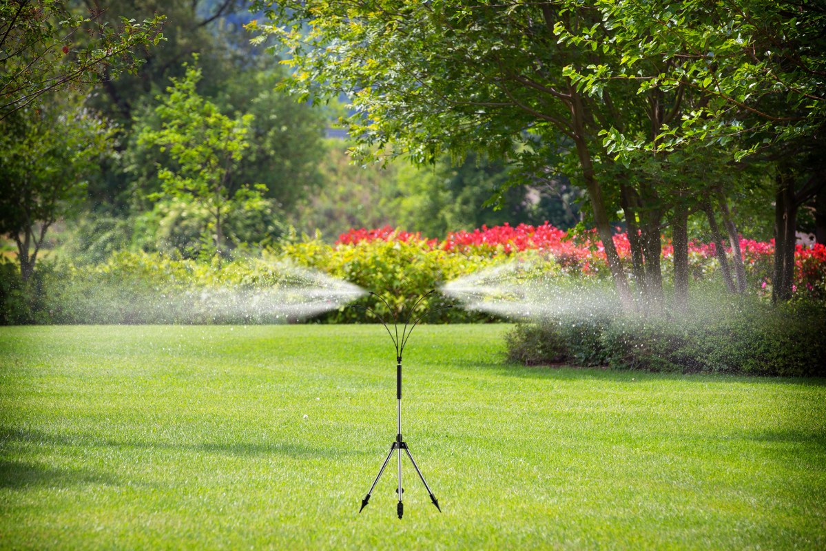 Garden mister.