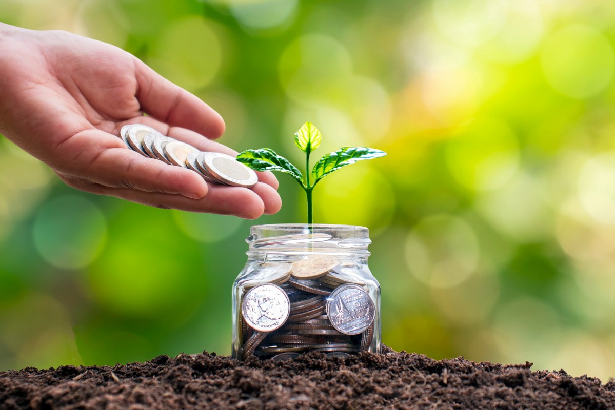 Hand Putting Coins in a Jar with Seedling.