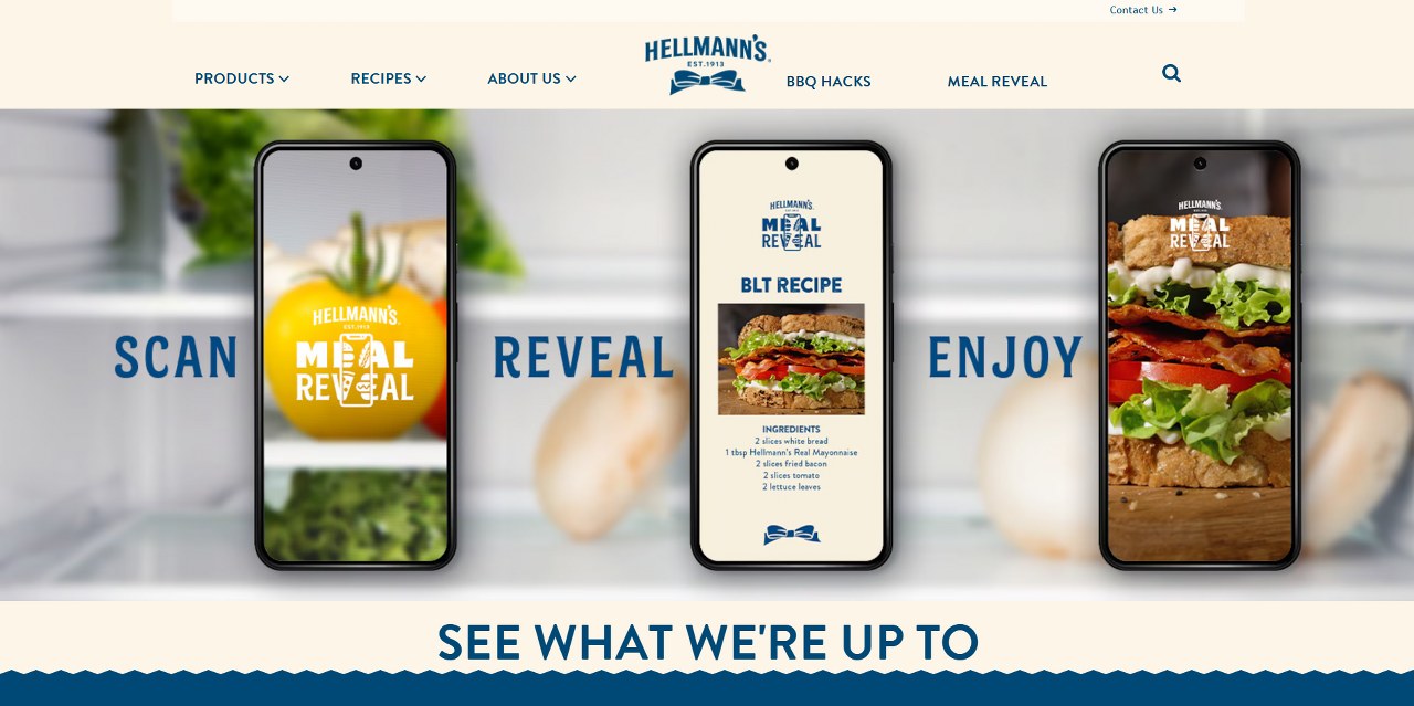 Hellmann's website.