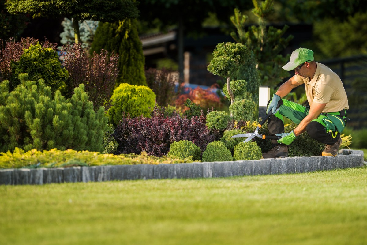 Landscape Garden Professional at Work.