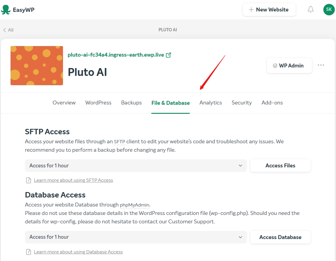 File & Database button