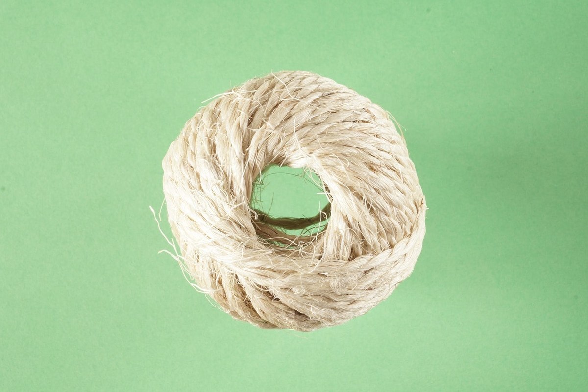 Natural sisal used to make cleaning sponges.