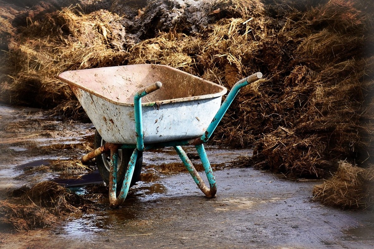 Organic fertilizer.