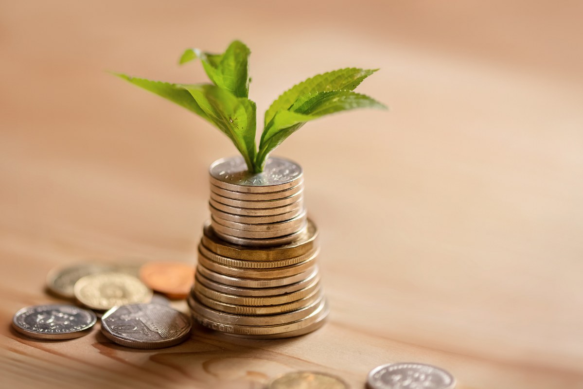Stack of coins through which a young tree sprouts.