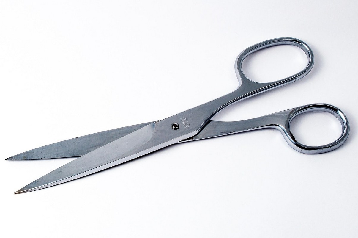 Stainless steel scissors.