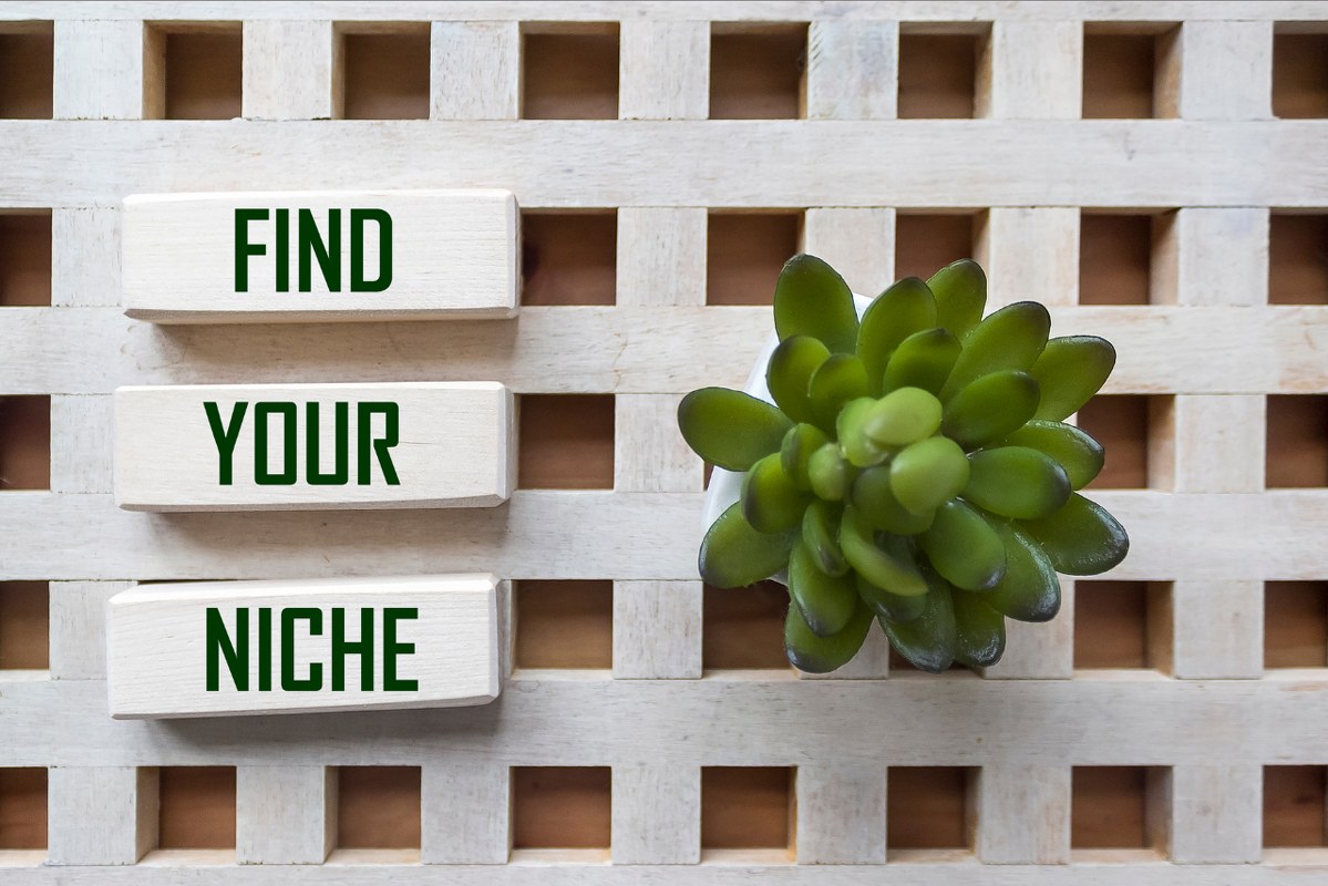 Text on wooden blocks Find Your Niche.
