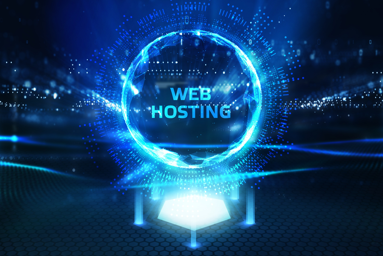 The activity of providing storage space and access for websites.