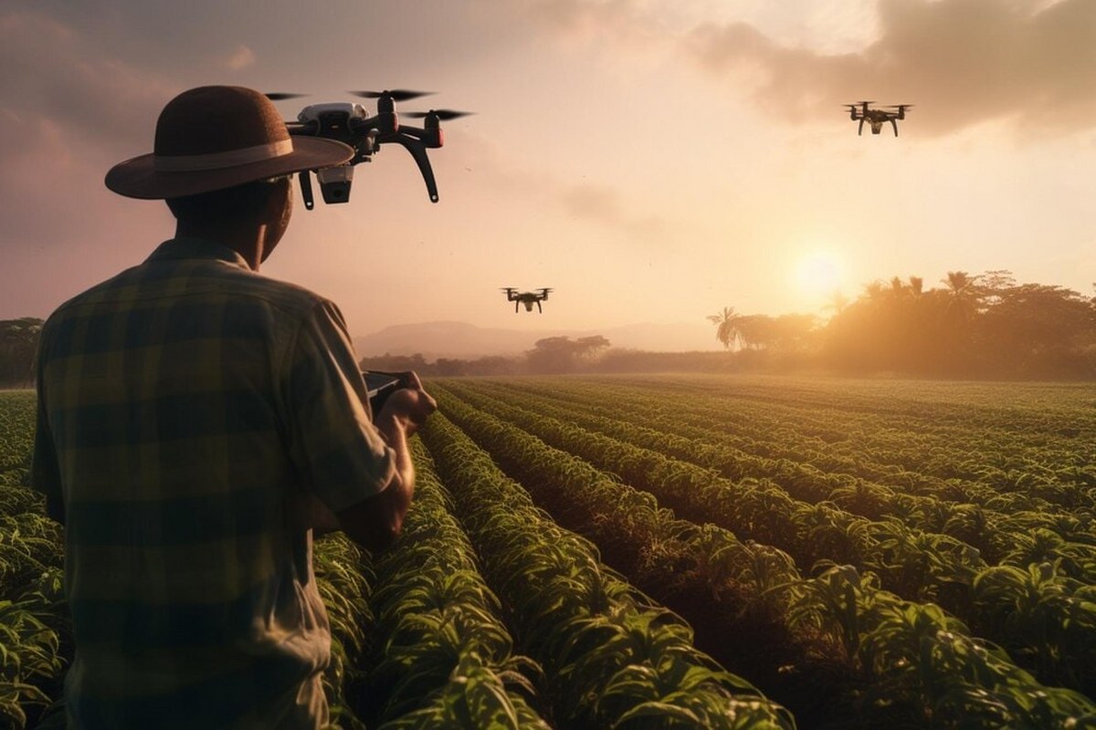 Agriculture Man working in the plantation with a drone.