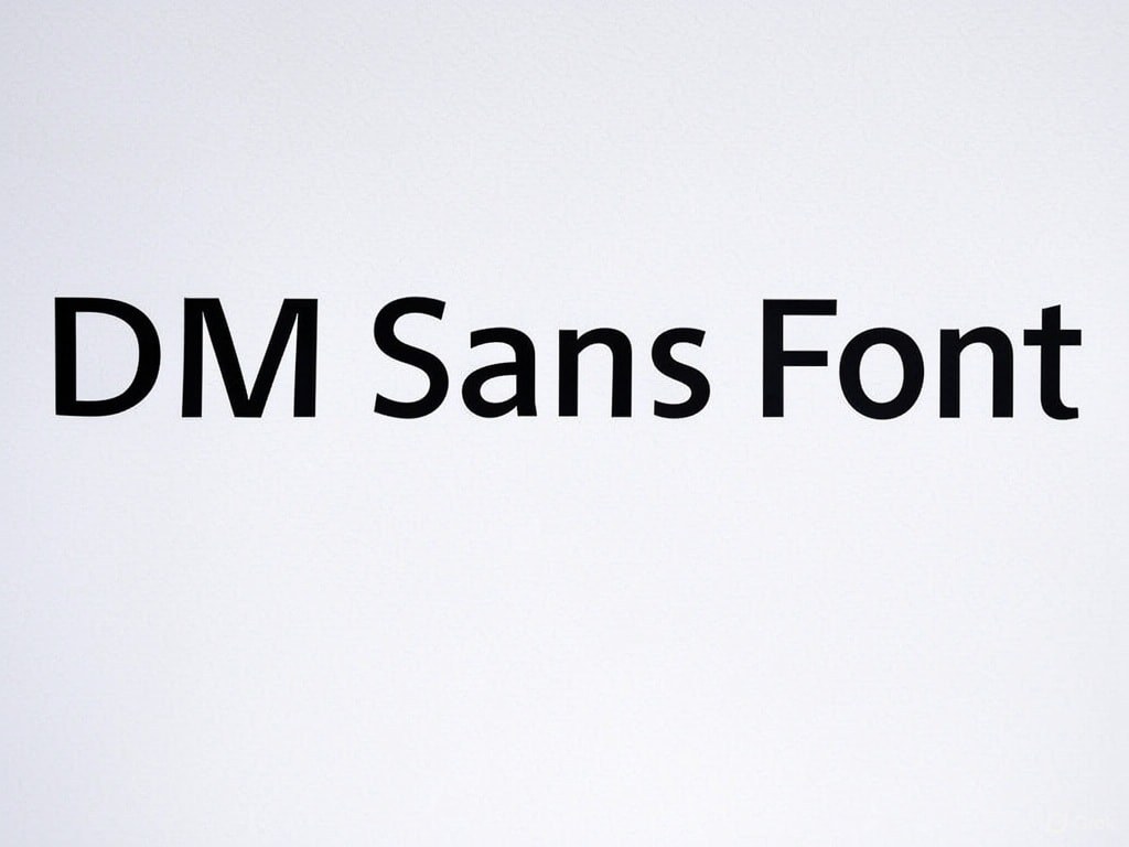DM Sans Font.