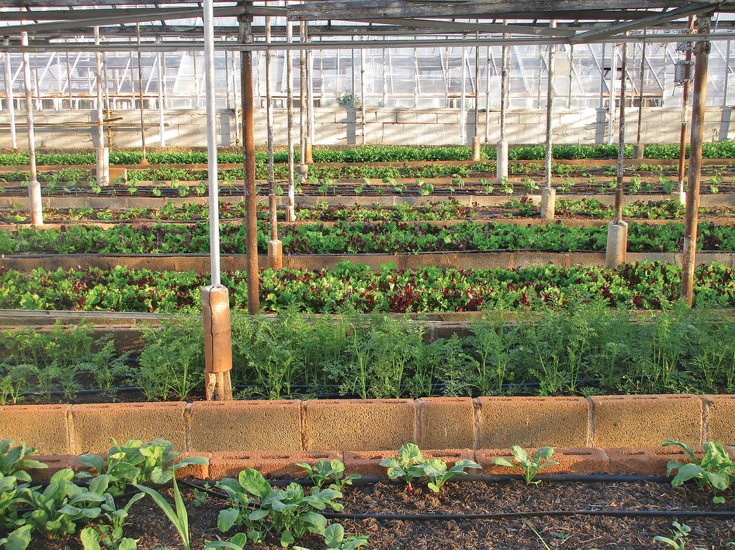 Farming in a controlled area; a greenhouse.