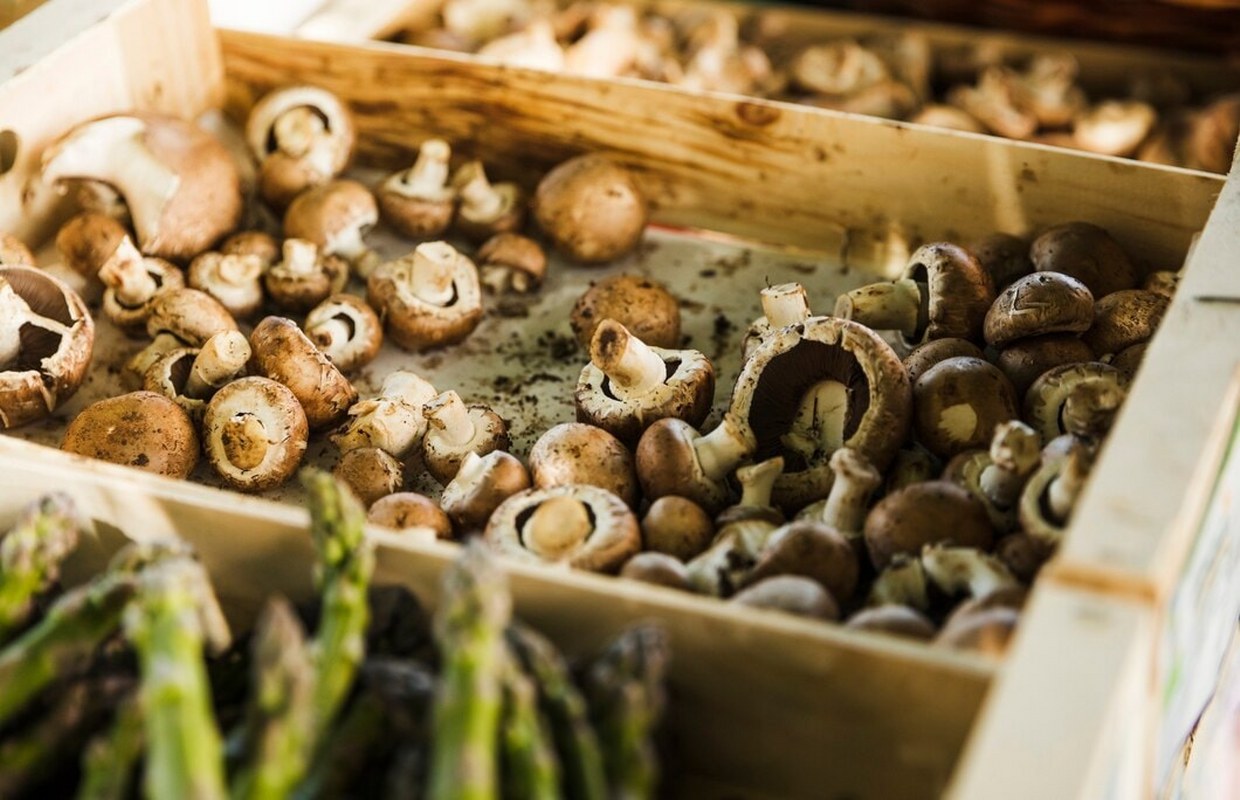 Fresh mushrooms in the wooden tray.