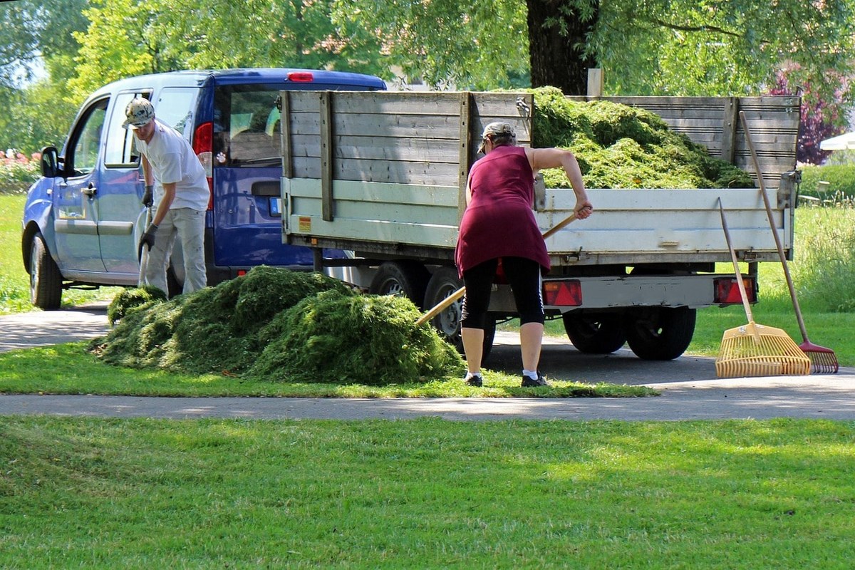 Landscapers removing trimmed grass.