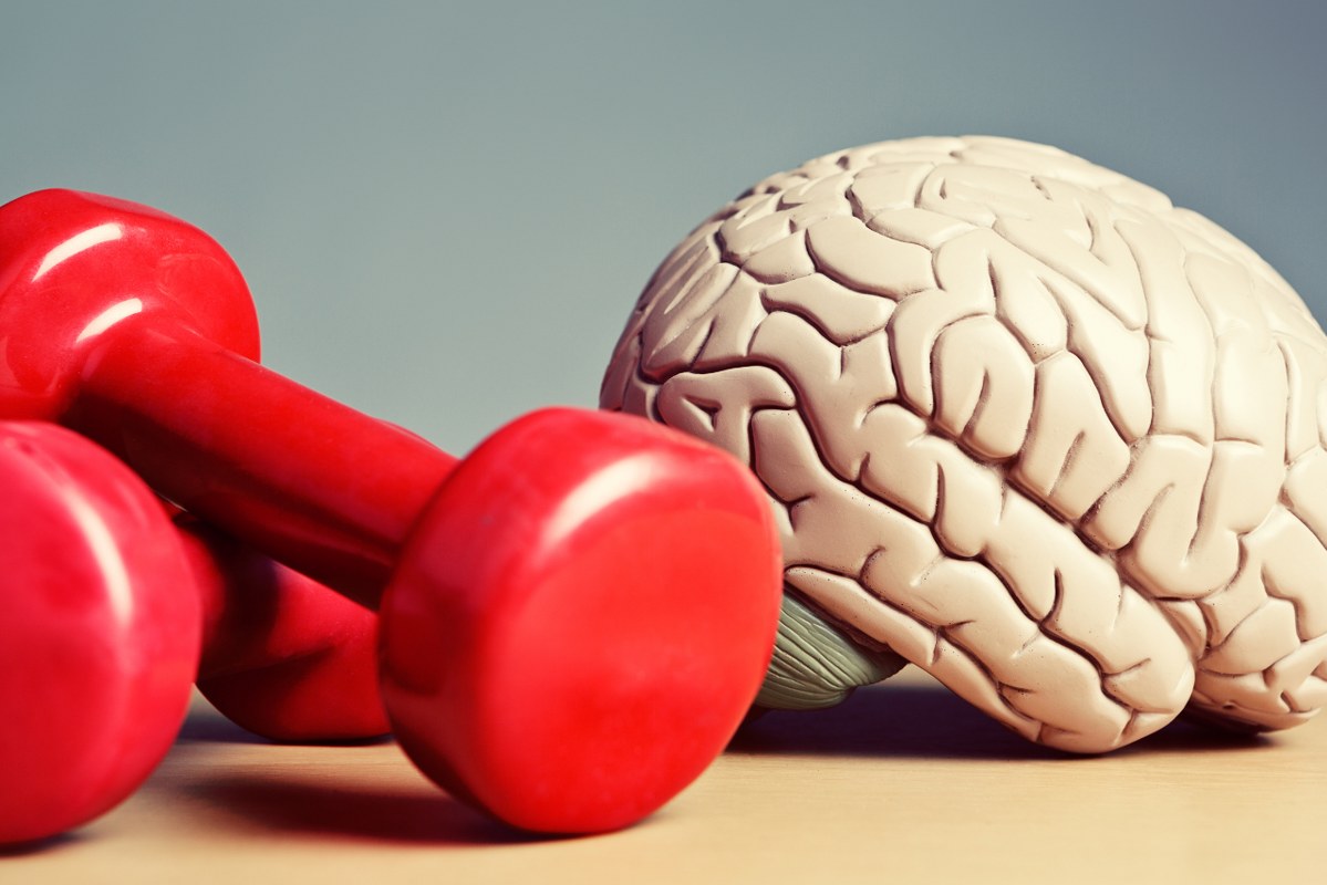 Mental and physical wellness: brain and dumbells.
