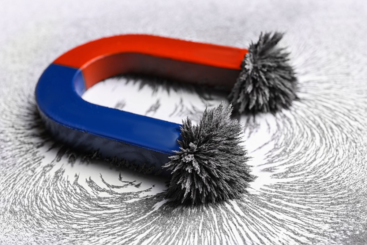 Red and Blue Horseshoe Magnet with Iron Filings on White Background.