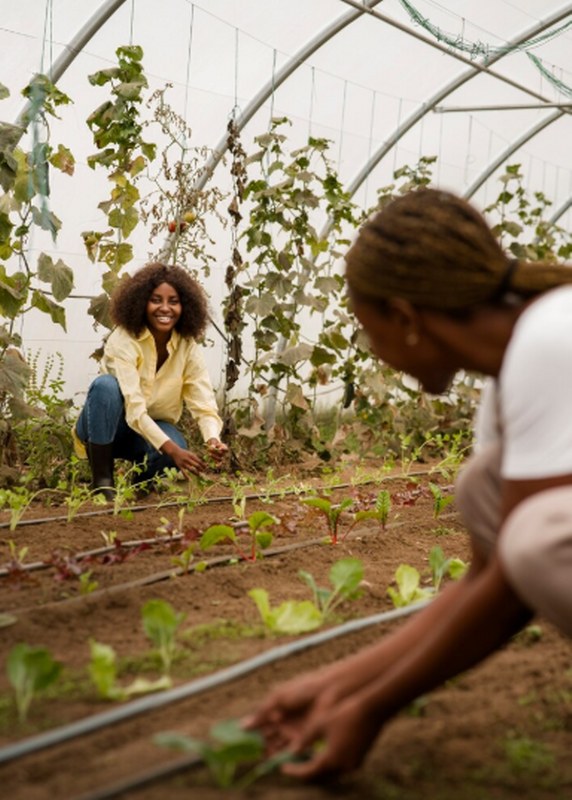 Using drip irrigation to conserve water.