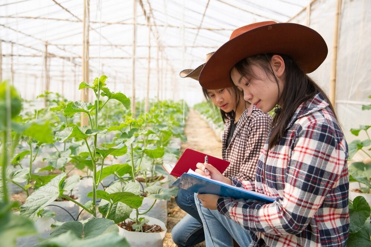 Young agricultural engineer studying in hothouse.