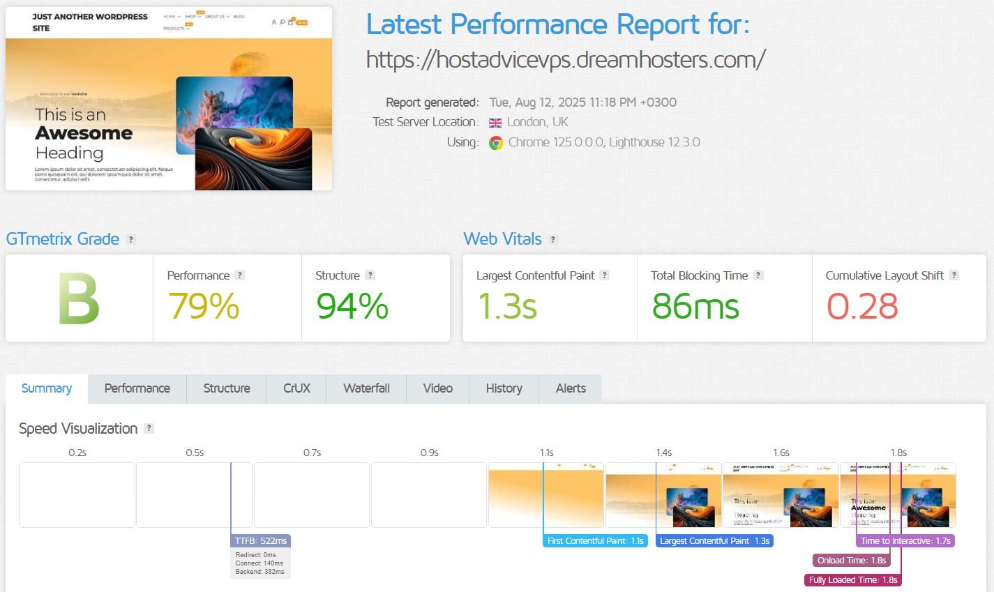 WordPress VPS Hosted Website Performance