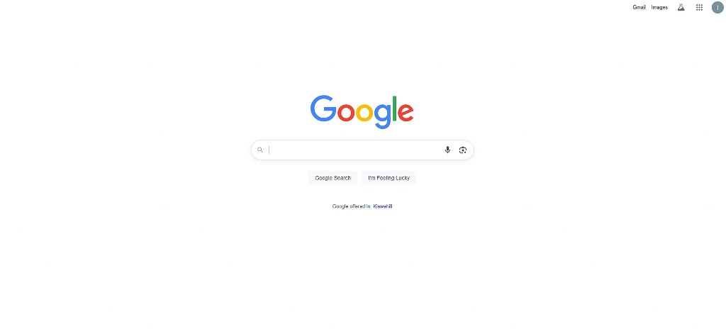 Google Search page.