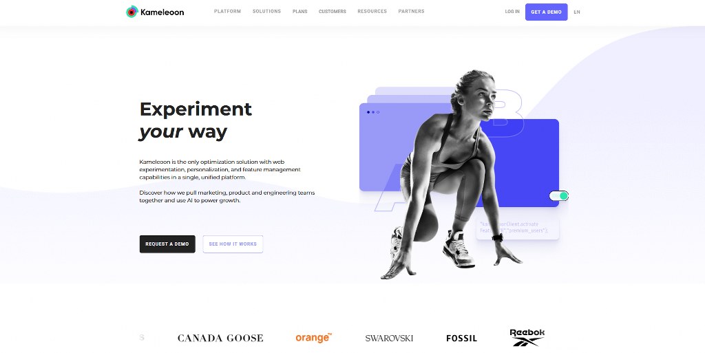Kameleon website homepage.