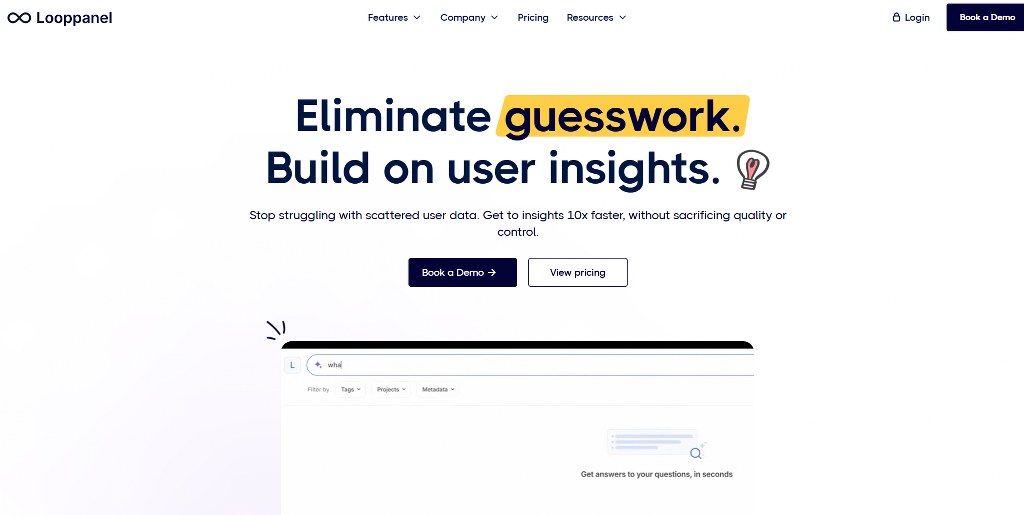 Looppanel homepage.