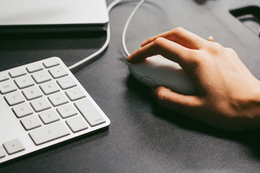 Person Holding Computer Mouse.