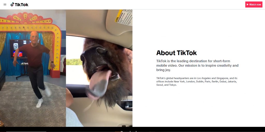 Titok's website.
