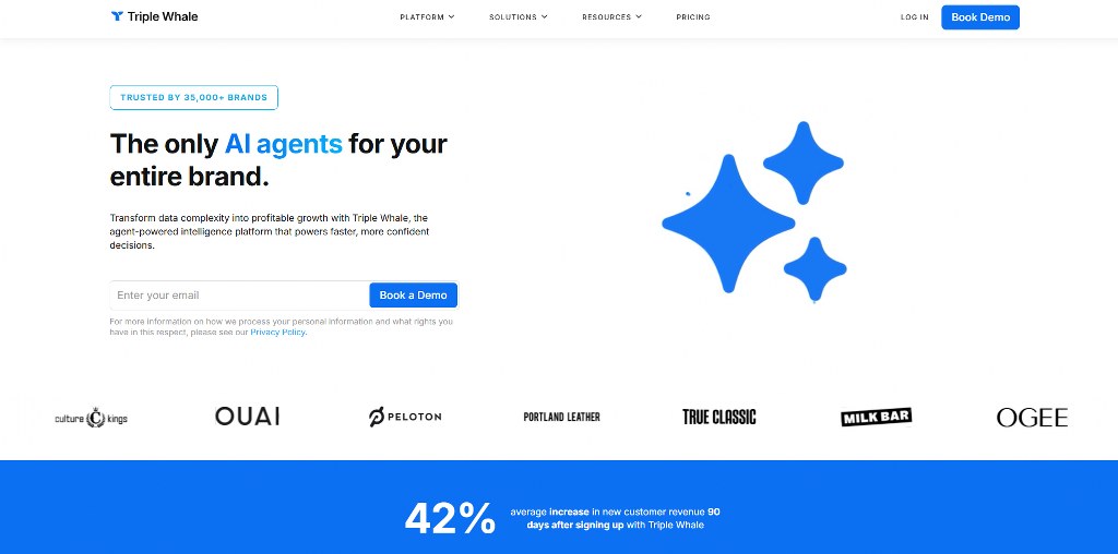 Triple Whale homepage.