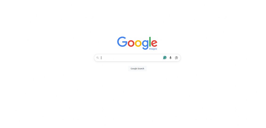 Google images homepage.