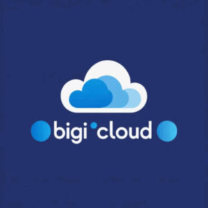 Bigicloud Logo