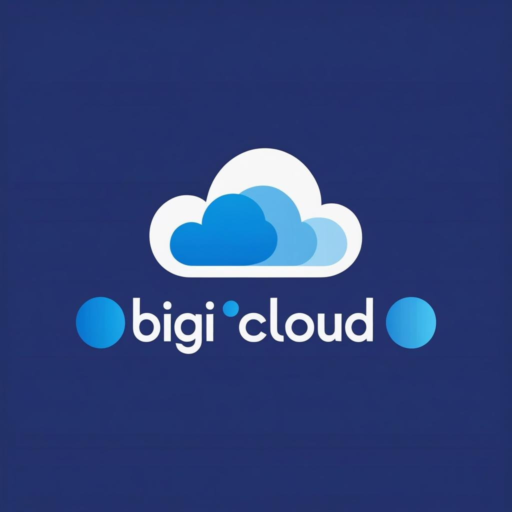 Bigicloud Logo